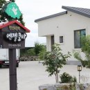 엔젤코바 이미지