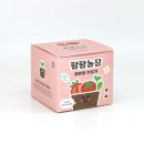 토마토유치원