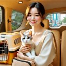 말순이네 이미지
