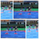 국가대표TS태권도장 이미지