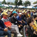 동락초등학교 이미지