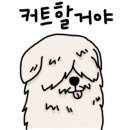 크록스스타필드시티위례