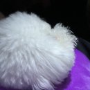 하운드민박 이미지