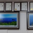 모아 행정사사무소 이미지