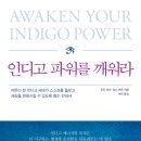도린 이미지
