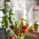 하나비젼실버홈 | 광주시 서구 믿을 수 있는 요양원 추천 하나비젼실버홈 믿고 맡길 수 있는 곳