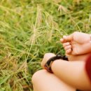 다이아몬드장 이미지