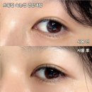 영양-3)영양군 솔다방 앞 | 속눈썹 영양세럼 추천 :: 트윙컬 속눈썹 영양제 후기, 세럼+마스카라 "여름 꾸안꾸 메이크업 필수템"
