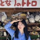 하이버스투어