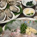 [울산 화봉동 맛집] 신선한 회와 생굴을 즐길 수 있는 ‘사라있네 해물포차’