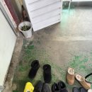 (주)32마루수성 | [대전 정림동 맛집] 낮술을 부르는 맛 대전 곱창전골 또또간집 '구들마루' 내돈내산 후기