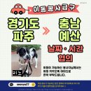 리노/날짜.시간협의/경기파주＞＞충남예산 이미지