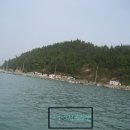 약산면-3 Daum카페