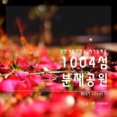 전남 신안 가볼만한곳 애기동백꽃 1004섬 분재정원