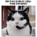 노래와 함께 하는 친절학 개론 | 어느 호스트🤵의 이야기📢 7부(외도민과 단기임대 둘 다 운영하는 경험담 10부작)