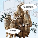 준메디칼 | 대구 재활운동, 체형교정 PT 전문 하노버 메디칼 운동센터 라운드숄더, 비대칭 체형 교정 일대일 피티...