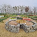 청춘농장 이미지