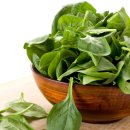 독일 프리미엄 보청기 이미지