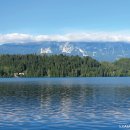 더폼호스텔 이미지