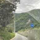 브룩스펜션 네이버블로그