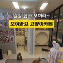 모여봐요 고양이 카페 이미지