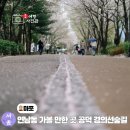 서울 마포 연남동 데이트 가볼 만한 곳 공덕 경의선숲길 벚꽃