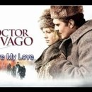 (주)닥터지바고 이미지