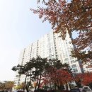 동천공인중개사사무소 이미지