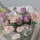 열매이야기 이미지