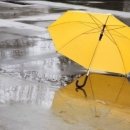 땡큐천연머리염색방 이미지