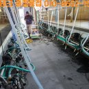 우현목장 이미지