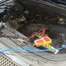 허니모터스 이미지