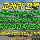 건물3-110[ 민박+상가+주거 한번에 가능! 조천읍 교래리 상가주택 건물 통임대(건물116평+대지1268평/풀옵션/멋진 조경/숲세권/ 이미지