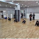 용인대 화랑 합기도 이미지