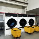 뿌리세탁소 이미지