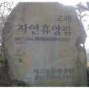 교래 자연휴양림(돌문화공원) 탐방기 이미지