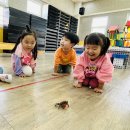 애니멀스쿨 이미지