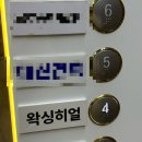 왁싱히얼