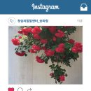 안녕심리발달센터 이미지