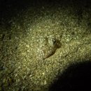 남해-317 이미지