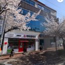 로뎀약국 이미지