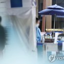 송철호농장 연합뉴스