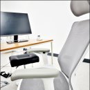 밀러3 | 허먼밀러의자 후기 보고 고른 피치블리의자 추천