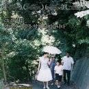 걸어도 걸어도 (Still Walking, 2008) 출연 :아베 히로시, 나츠카와 유이, YOU, 타카하시 카즈야 이미지