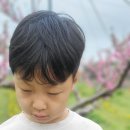하늘꽃농원 이미지