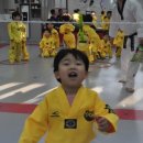 경성태권도 이미지