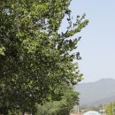 삼서보건지소 이미지