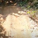 하모니리조트 이미지