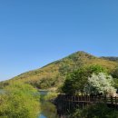 평지못 공중화장실 이미지