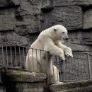 하나부동산중개 이미지